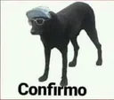Confirmo