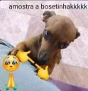 amostra