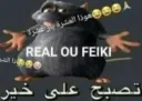 real ou feike