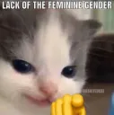 lack the feminine gender