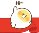 Hi~