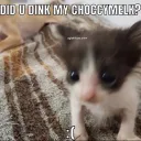 Did U Dink My Choccymelk