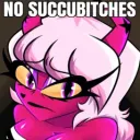 No Succubitches