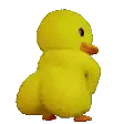 duckbooty