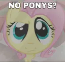 No Ponys?