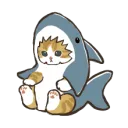 shark_cat