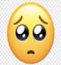 pleading face