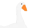 JudgementalGoose