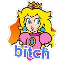 bitch what did u say