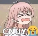 CNUY